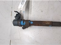 5066820AA, 0445110059 Форсунка топливная Chrysler Voyager 2000-2007 20492468 #5