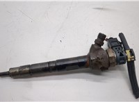  Форсунка топливная Skoda Octavia (A7) 2013-2023 20492561 #1