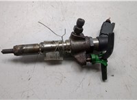 1980ER Форсунка топливная Citroen C5 2008-2017 20492634 #1