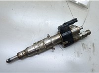 13538616079 Форсунка топливная BMW X6 E71 2007-2014 20492903 #1