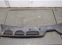  Жабо под дворники (дождевик) Ford C-Max 2002-2010 20492968 #1