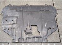  Защита моторного отсека (картера ДВС) Ford Focus 2 2005-2008 20493039 #1