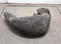  Защита арок (подкрылок) Mercedes C W203 2000-2007 20493339 #1