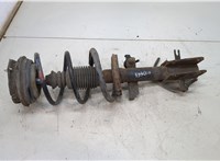  Амортизатор подвески Renault Laguna 2 2001-2007 20493534 #1