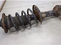  Амортизатор подвески Opel Vectra C 2002-2008 20493603 #1