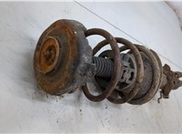  Амортизатор подвески Renault Scenic 1996-2002 20493746 #2