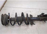  Амортизатор подвески Renault Laguna 2 2001-2007 20493814 #1