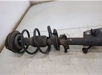  Амортизатор подвески Renault Laguna 2 2001-2007 20493814 #3