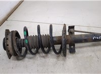  Амортизатор подвески Renault Megane 2 2002-2009 20493818 #1