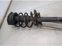  Амортизатор подвески Renault Megane 2 2002-2009 20493818 #3
