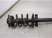  Амортизатор подвески Renault Megane 2 2002-2009 20493823 #1