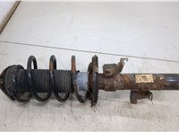  Амортизатор подвески Ford Focus 2 2005-2008 20493851 #3