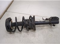  Амортизатор подвески Renault Scenic 1996-2002 20493858 #1