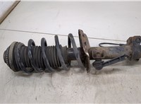  Амортизатор подвески Opel Zafira B 2005-2012 20493884 #1