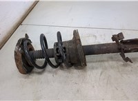  Амортизатор подвески Renault Scenic 1996-2002 20493916 #1