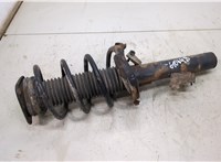  Амортизатор подвески Ford Focus 2 2005-2008 20493950 #1