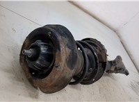  Амортизатор подвески Mercedes C W203 2000-2007 20493988 #2