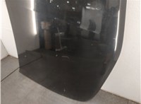  Капот Mitsubishi Carisma 20493990 #10