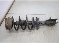  Амортизатор подвески Renault Laguna 2 2001-2007 20493996 #1
