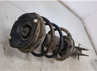  Амортизатор подвески Renault Laguna 2 2001-2007 20493996 #2