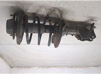30818037 Амортизатор подвески Volvo S40 / V40 1995-2004 20493998 #6