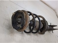  Амортизатор подвески Renault Laguna 2 2001-2007 20494015 #2