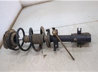  Амортизатор подвески Renault Laguna 2 2001-2007 20494015 #3