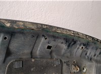 1160234, 90493667 Капот Opel Omega B 1994-2003 20494031 #7