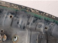1160234, 90493667 Капот Opel Omega B 1994-2003 20494031 #8