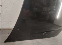  Решетка радиатора Opel Signum 11442354 #12