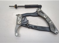  Амортизатор капота Mercedes C W202 1993-2000 11442494 #1