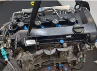 1367606, 1364482 Двигатель (ДВС) Ford Focus 2 2005-2008 20494346 #8