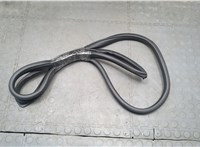  Уплотнитель Hyundai Sonata LF 2014-2019 20494420 #1
