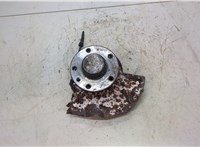  Ступица (кулак, цапфа) Opel Omega B 1994-2003 20494446 #1