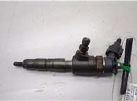 1980S5, 0445110340 Форсунка топливная Citroen C3 2009-2016 20494492 #1