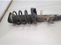  Амортизатор подвески Ford Focus 2 2005-2008 20494548 #1