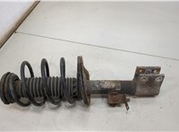  Амортизатор подвески Peugeot 307 20494553 #1