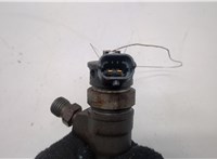 166008399R Форсунка топливная Dacia Logan 2012-2016 20494606 #2