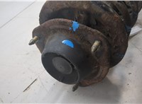 30818036 Амортизатор подвески Volvo S40 / V40 1995-2004 20494646 #6