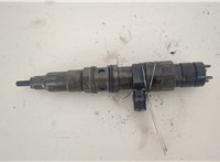 A4710700887 Форсунка топливная Mercedes Actros MP4 2011-2022 20494789 #1