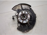  Ступица (кулак, цапфа) Land Rover Discovery Sport 2014- 20494864 #1