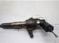 1791017, AV6Q9F593AD Форсунка топливная Ford Focus 3 2011-2015 20494961 #1