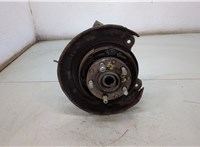  Ступица (кулак, цапфа) Subaru Forester (S11) 2002-2007 20494965 #1