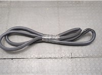  Уплотнитель Dodge Hornet 2022-2025 20495076 #1