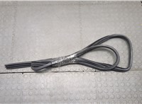623310T011 Уплотнитель Toyota Venza 2008-2017 20495145 #1