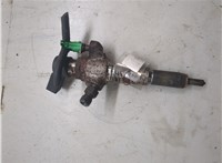 1980ER Форсунка топливная Peugeot 3008 2009-2016 20495323 #1
