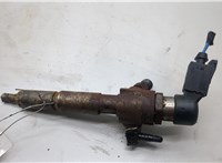 1355051, 2079597, 4M5Q9F593AD, RE4M5Q9F593AD Форсунка топливная Ford Mondeo 4 2007-2015 20495442 #1