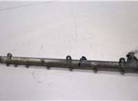  Рампа (рейка) топливная Mercedes E W211 2002-2009 20495469 #1