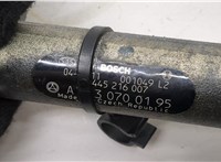  Рампа (рейка) топливная Mercedes E W211 2002-2009 20495469 #3