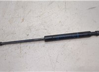  Амортизатор крышки багажника BMW 5 E39 1995-2003 20495611 #1